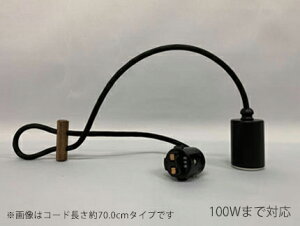 㓡Ɩ@gƖ@z_Ng[py_g@dp[J݊@h@R[h40cm@E26@vʔ@Md100W܂őΉ@GLF0300BK40DP 󒍐Yi