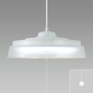 �z�^���N�X�@LED�y���_���g���C�g�@�R�[�h�݁@�ȈՎ�t�@6700K�@�����@�`4�D5��@HCDS0423X