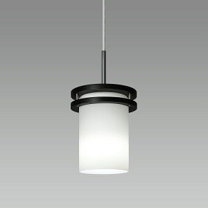 z^NX@LED^y_gCg@R[h݁@ȈՎt@5000K@F@ʓd60W×1@SXCLE261745N