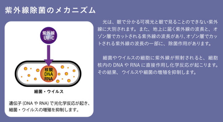 楽天市場】DNライティング 紫外線除菌装置 くりんクリンBox 