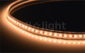 TES@LIGHTING@tLVuƖ@QoonelaiN[lj@TQV[Y@R[h^Cv@SF3006mm@2700K@dF@R[h^Cv@TQ300627D 󒍐Yi