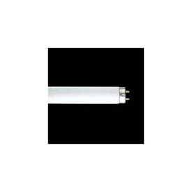 パナソニック　パルック蛍光灯（蛍光ランプ）　直管スタータ形　32形　クール色　【単品】　FL32SEXDF3
