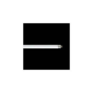 Ł@E5@ǃX^[^`uviuj@8`@3g`F@yPiz@FL8EXNH