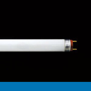 vX@fR[X@T6Xu@v794mm@u[iFj@FRS34T6u[M 󒍐Yi