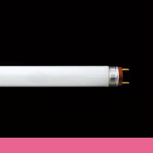 vX@fR[X@T6Xu@v1515mm@bhiԐFj@FRS1515T6bhM 󒍐Yi