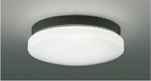 KOIZUMI�@LED�h�J�h���^�V�[�����O�@FCL20W�����@(�����v�t)�@�����F�@5000K�@AU46980L