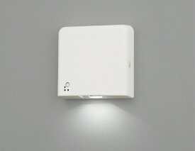 東芝　LED客席誘導灯　一般屋内用　壁直付形　自己点検タイプ　電池内蔵形　FBK60000LS17　※受注生産品