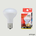 オーム電機　LED電球　ミニレフランプ形　電球色　3．3W　ミニレフランプ40形相当（40W形）　全光束362lm　配光角約140°　R45　E17口金　LDR3LWE17A9