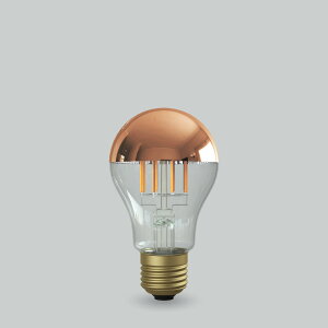 �r�[�g�\�j�b�N�@OnlyOne(�I�����[����)�@LED�d���@Siphon(�T�C�t�H��)�@��ʓd���`�@The Bulb(�U�E�o���u)�@Coppermirror�@45W�`�����@�d���F(2700K)�@E26�@6.0W�@600lm�@�N���A�K���X(�J�b�p�[�~���[)�@LDF6