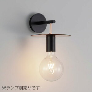 MAXRAY@ǒt@uPbgCg@Filum Plate/tB[ v[g@{̐FubN@1@E26pivʔj@MB5043202