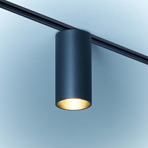 MAXRAY@V[OCg@z_Ng[p@TUTU Ceiling@vOdl@TeubN@E11pivʔj@ML3014102(OP01688+OP0168902)