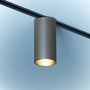 MAXRAY@V[OCg@z_Ng[p@TUTU Ceiling@vOdl@uE@E11pivʔj@ML3014121(OP01688+OP0168921)