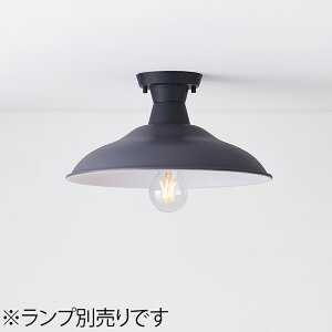 MAXRAY�@CRAFT LAMP Dish S Ceiling/�N���t�g�����v �f�B�b�V��S�@�V�[�����O���C�g�@���t�^�C�v�@�T�e���`���R�[���O���[�@E26�����@�����v�ʔ��@ML3016525(OP0169924+OP0170525)