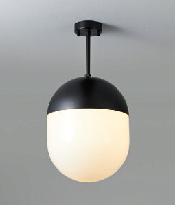 MAXRAY@Orb(al)/I[o@250@V[OCg@t@ubN()@E26@vʔ@ML3017802(OP0171502+OP01739)