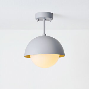 MAXRAY@Orb COMBI CEILING/I[uRrV[O@V[OCg@t^Cv@}bgCgO[@E17@vʔ@ML3018025(OP0174825+OP01731)