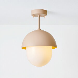 MAXRAY@Orb(al) COMBI CEILING/I[oRrV[O@V[OCg@t^Cv@}bgsNx[W@E17@vʔ@ML3018112(OP0174812+OP01737)