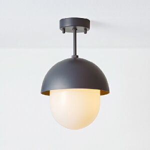 MAXRAY@Orb(al) COMBI CEILING/I[oRrV[O@V[OCg@t^Cv@}bg_[NO[@E17@vʔ@ML3018124(OP0174824+OP01737)