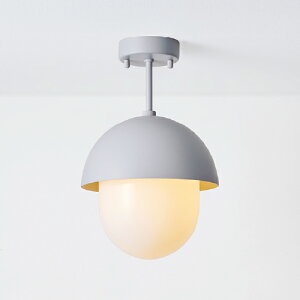 MAXRAY@Orb(al) COMBI CEILING/I[oRrV[O@V[OCg@t^Cv@}bgCgO[@E17@vʔ@ML3018125(OP0174825+OP01737)