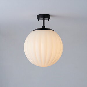 MAXRAY@Orb series Rib/I[uV[Y@u@V[OCg@250@t@ubN@E26@vʔ@ML3019202(OP01712+OP01756)