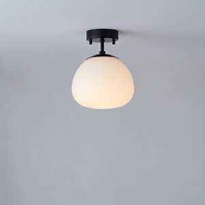 MAXRAY@Orb series Korb/I[uV[Y@R[u@V[OCg@150@t@ubN@E17@vʔ@ML3019302(OP01710+OP01757)