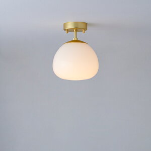 MAXRAY@Orb series Korb/I[uV[Y@R[u@V[OCg@150@t@S[h@E17@vʔ@ML3019338(OP01710+OP01757)