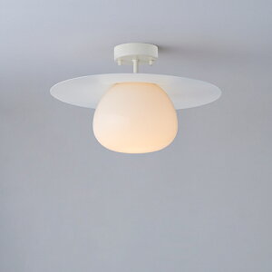 MAXRAY@Orb series Korb/I[uV[Y@R[u@v[gV[OCg@150@t@zCg@E17@vʔ@ML3019701(OP01716+OP01757)