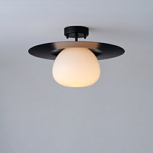 MAXRAY@Orb series Korb/I[uV[Y@R[u@v[gV[OCg@150@t@ubN@E17@vʔ@ML3019702(OP01716+OP01757)