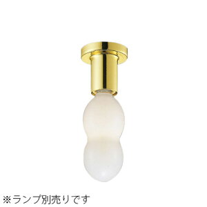 MAXRAY@V[OCg@S[h@E17pivʔj@ML315738