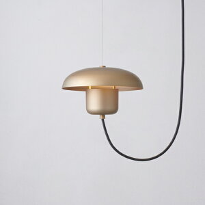 MAXRAY@݂艺Ɩ@y_gCg@LidV[Y@200@C[݂iVrX~ߕKvj@|V[O@{̐FS[h()@(vʔ)@MP4066538