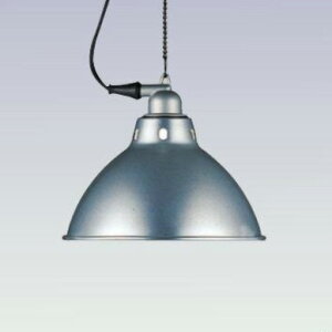 MAXRAY@y_gCg@{̐FVo[@E26p@vʔ@t^Cv@MP404264090