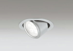 ODELIC@GNXeACgi_ECgj@jo[T@hJ^@^@LEĎ^@100mm@M60W@pt@F@F5000K@}bgVo[@OD361161R