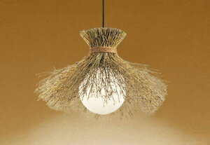 ODELIC@y_gCg@|V[O@dF@R15FLED@LEDvt@OP035303LR