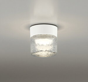 ODELIC エクステリアライト ポーチライト 浴室灯 屋外用 防雨・防湿型 電球色 LEDランプ付き R15高演色LED オフホワイト色 OG264046LR