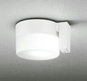 ODELIC@GNXeACgiV[OCgj@LEDvt@M60W@˂@F@5000K@FLED@hJ^@lZT[t@ItzCg@OG254989NCR