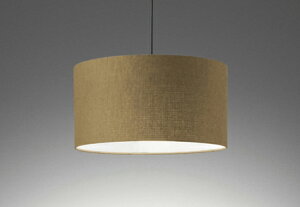 ODELIC@y_gCg@|V[O@FLED@LEDvt@M100W@񒲌@F5000K@`mx[W@OP252291NR