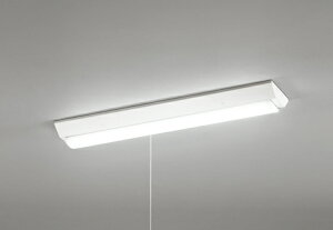 ODELIC@LEDx[XCg@t@txm^@vXCb`t@F@FL20W×2@F@LEDjbgt@XL501101R3D