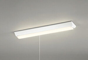 ODELIC@LEDx[XCg@t@txm^@vXCb`t@dF@Hf16Wo×2@F@LEDjbgt@XL501101R4E