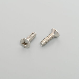 �A�����J���d�@�@�{�f�[�r�X�@M4×15mm�@�i10�����j�@BS15WB
