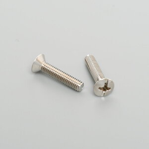 �A�����J���d�@�@�{�f�[�r�X�@M4×20mm�@�i10�����j�@BS20WB