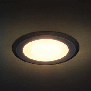 �X�K�c�l�@LAMP�@LED�X�������C�g�@SL-RU2-100�^�@�ی`�����^�C�v�@�����F�@5000K�@�u���b�N�@AC100V�@��������78mm�@�����FRa80�@PSE�@SLRU2100WNRBL
