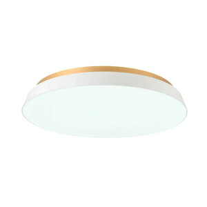 SWAN�@TAIRA CEILING LIGHT�@���|�V�[�����O�@�ȈՎ�t�@�������F10�i�K�@�A�b�p�[���C�g�@�v�����X�@�\�@��铔�@�������[�@�\�@�����R���t�@�z���C�g�@ACE175WH