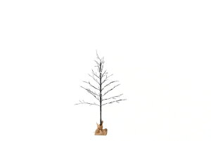 SWAN@BOTANIC BRANTREE PON SNOW@c[^Cg@EX`[@R@4iK@9p^[ؑց@^C}[E[@\@ȈՖhH@120CMf@AOL653