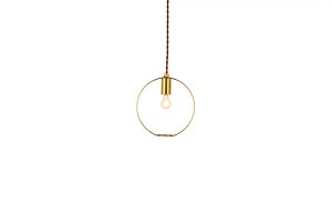 SWAN@BOTANIC HANGING WIRERING LIGHT@y_gCg@|V[O@ȈՎt@R[h1.0M@E26@800lm@X`[@S[h@STCY@APE046