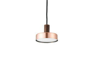 SWAN�@RUMANI PENDANT LIGHT�@�y���_���g���C�g�@�z���_�N�g��p�@�ʑ������Ή��@�R�[�h�� 1 M�@�A�b�p�[���C�g���@�u�����Y�@APE055BR