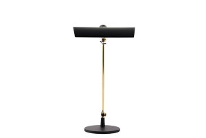 SWAN�@EXARM �gNY�h�@LED�f�X�N���C�g�@�_�C�����X�C�b�`�@���i�K����(0�`100��)�@�u���b�N�@10.5W�@750lm�@LEX1100BK