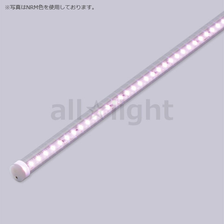 プリンス　LED棚照明器具　ディーライン　冷ケース用照明　対面ショーケース用照明　Cシリーズ　Dタイプ　Rタイプ（拡散丸型）　全長1388mm　演色LED　ルックライン　NEX　鮮魚・青果用　CR1388NEX/24D ※受注生産品