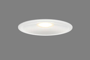 Ł@ZpƖ@AEghA_ECg@LEĎ`@150mm@M100WNX@dF(2700K)@(zCg)@LEDD87055LWLS