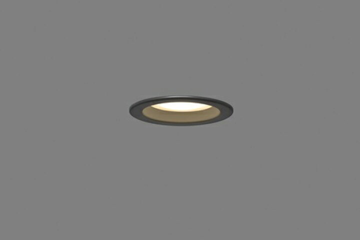 楽天市場】東芝 住宅用照明器具 浴室灯アウトドアダウンライト LED一体 