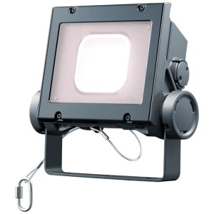 @LEDioc@FLOOD@NEOifBIbN@tbh@lIj@LED@20NX@Lp^Cv@Fi4000Kj^Cv@{̐FF_[NOC@LEĎ`@ωh@ECF2040SWWSAN8DG 󒍐Y