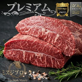 ＼ド迫力の暫定重量約3.0kg！／【高品質プレミアム】希少部位 牛ミスジ 特選ブロック 塊肉 ステーキ 焼肉 ローストビーフ BBQ バーベキュー キャンプ 業務用 真空直送 牛肉 オールミート ギフト お歳暮 御歳暮
